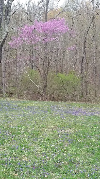Scioto Trail State Park Walk-In Camping Area 4
