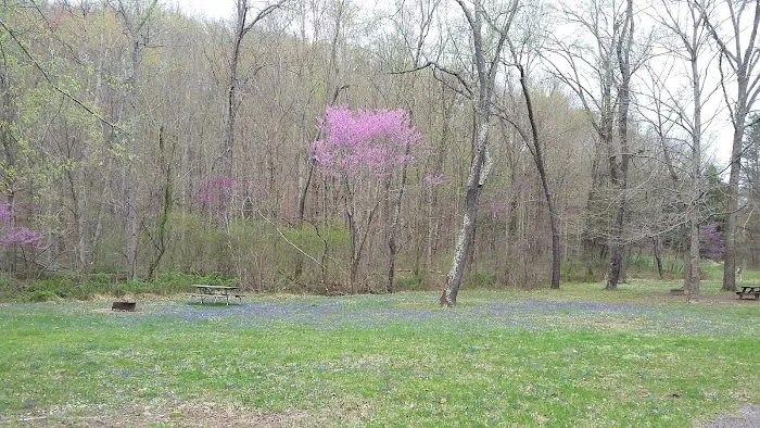 Scioto Trail State Park Walk-In Camping Area 0