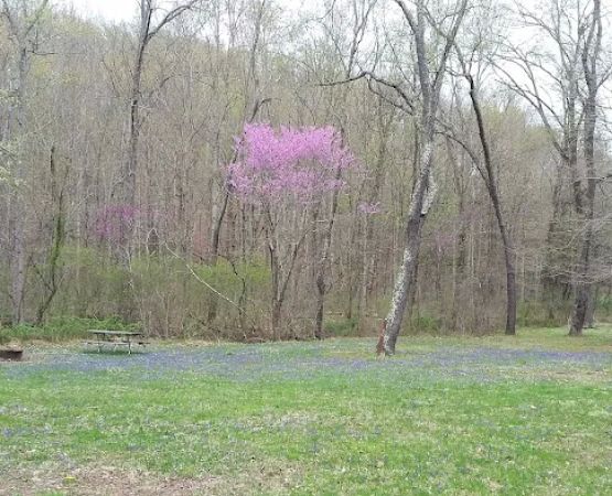 Scioto Trail State Park Walk-In Camping Area