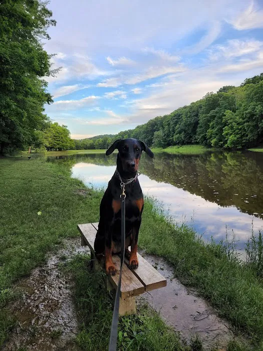 Scioto Trail State Park Campground 4