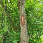 Tranquility Spring Campground