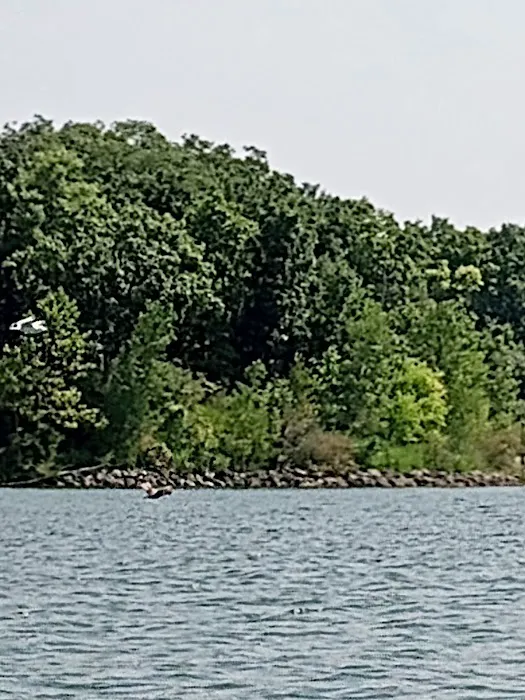 Deer Creek State Park Campground 8