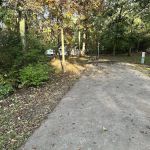 Campsite 44 (Electric Only)