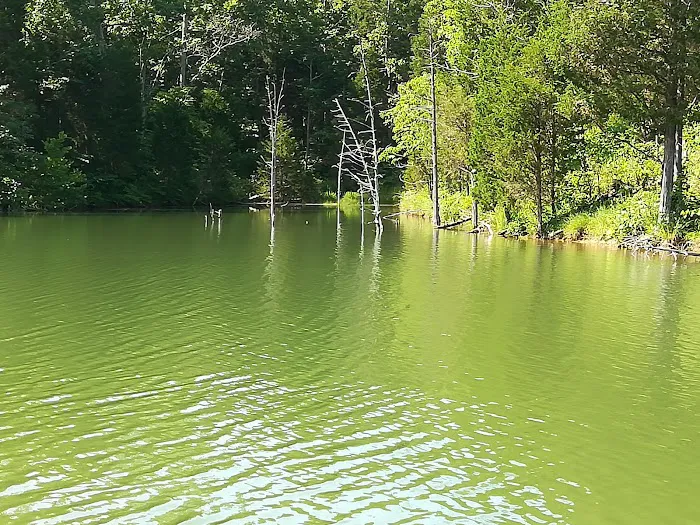 Mineral Springs Lake Resort 5