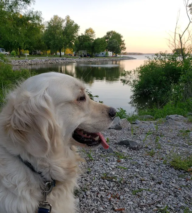 Coles Creek Campground 7