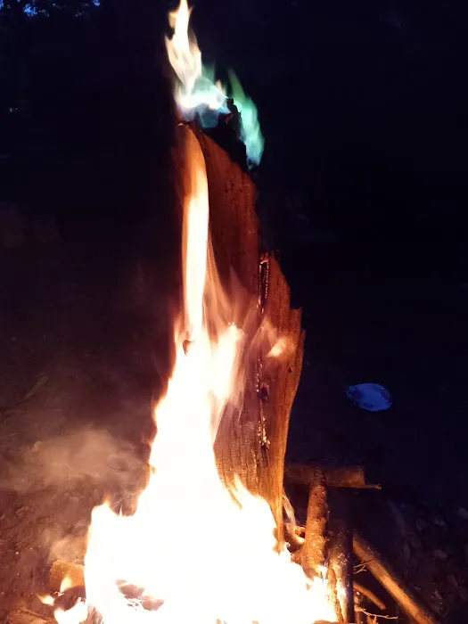 Turtle Bend, Camping and Events 0