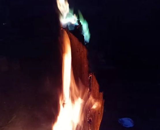Turtle Bend, Camping and Events