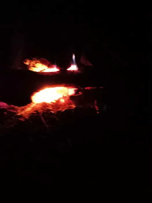 Turtle Bend, Camping and Events 2