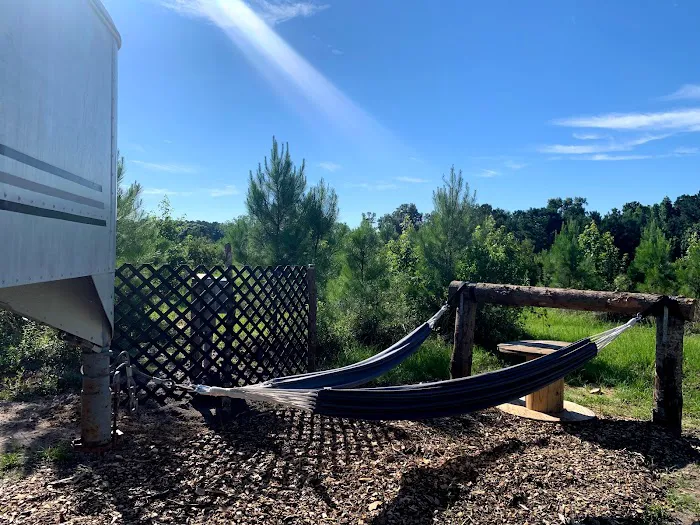 Glamping at Laurel Oaks 6