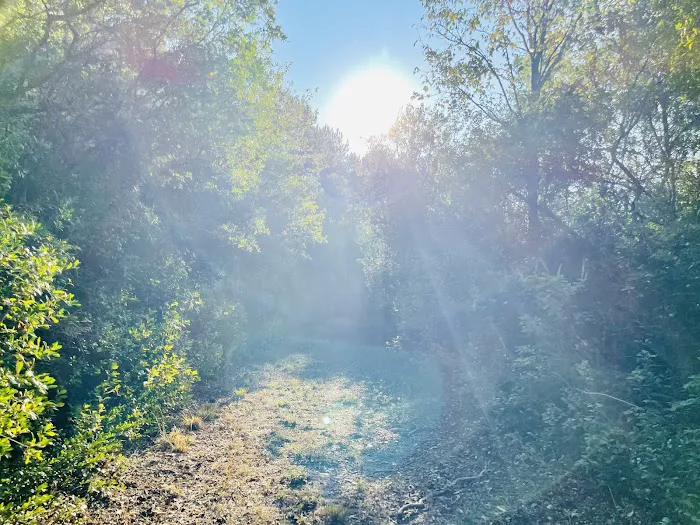 Sandy Ridge Campground & RV Resort 1