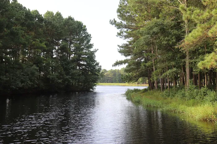 Cabin Lake Recreation 1