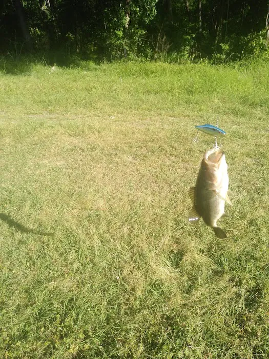 White Oak River Campground 3