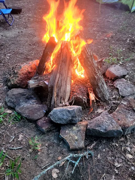 Trent River Campground 3
