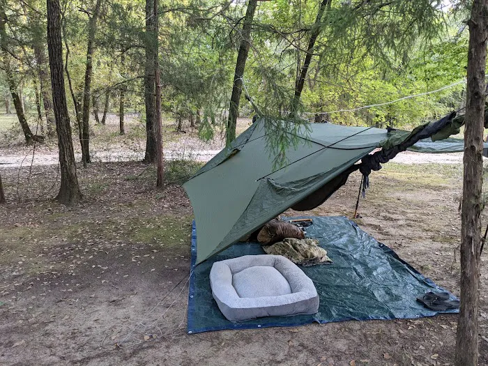 Trent River Campground 6