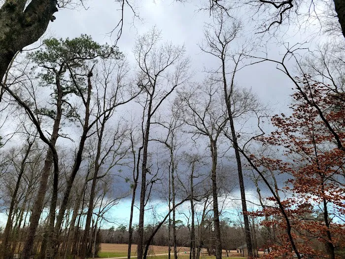 Trent River Campground 2