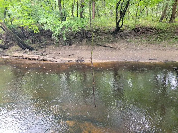Trent River Campground 4
