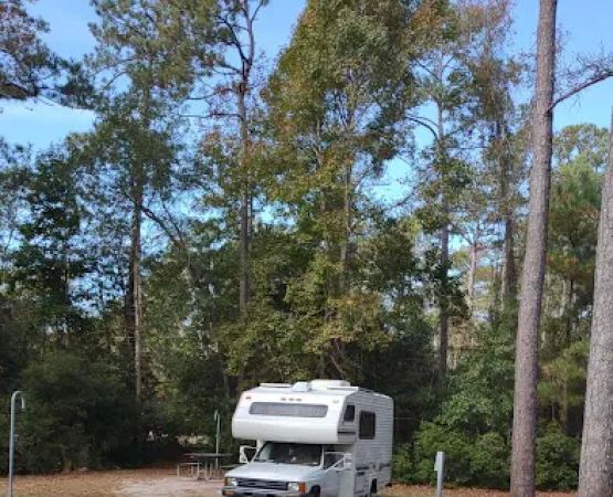 Campsite 29, Cedar Point Campground