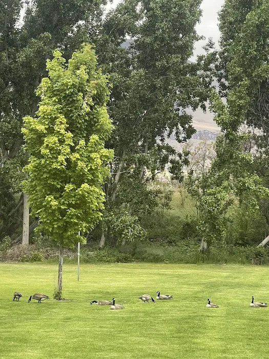 Deschutes River State Recreation Area Campground 5