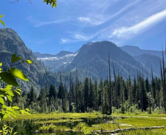 Thirtynine Mile Campground
