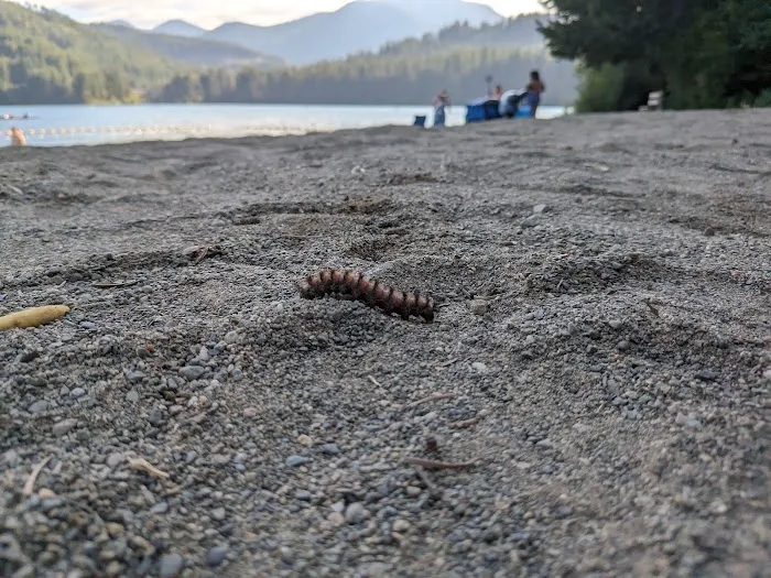 Lake Easton State Park Campground 0