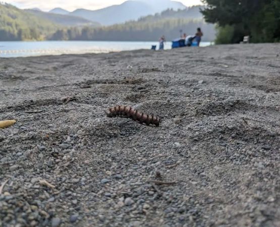 Lake Easton State Park Campground