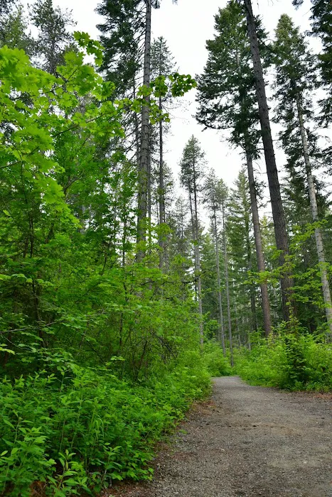Lake Easton State Park Campground 4