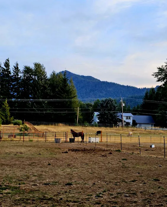 Cle Elum River Campground 0
