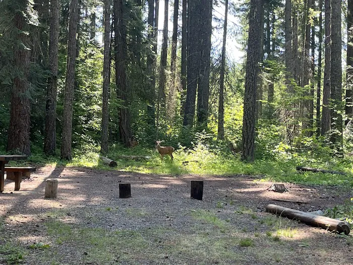 Wish Poosh Campground 5