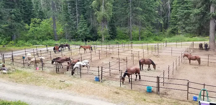 Cayuse Horse Camp 0