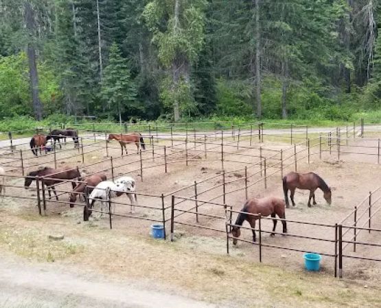 Cayuse Horse Camp