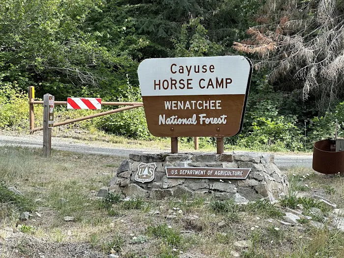 Cayuse Horse Camp 5