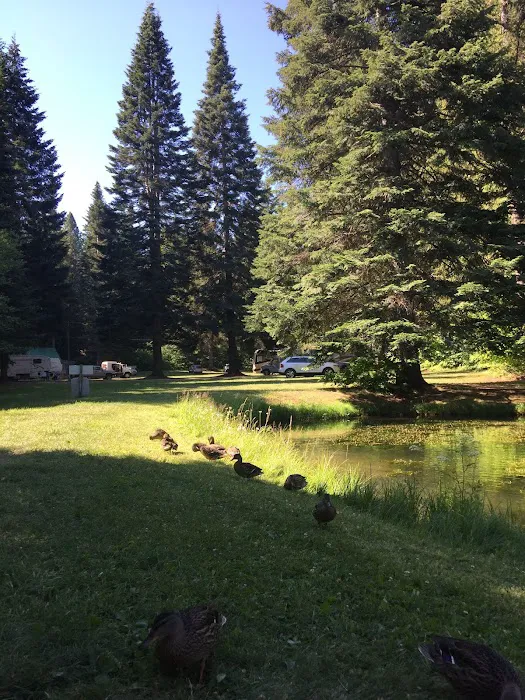 The Ranch 3