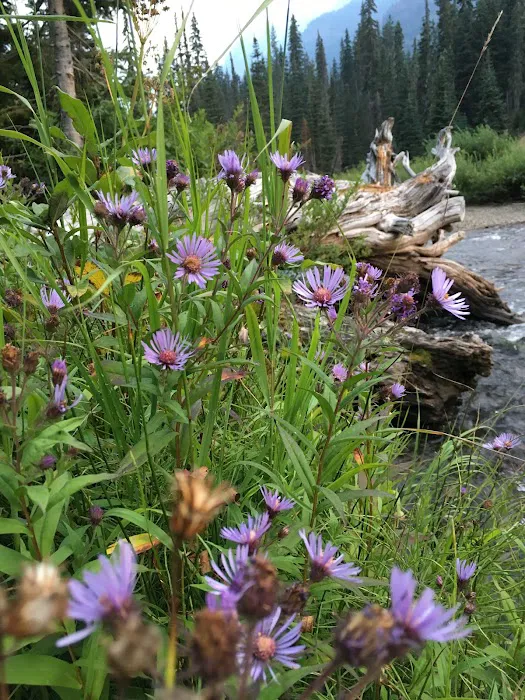 Scatter Creek Campground 3