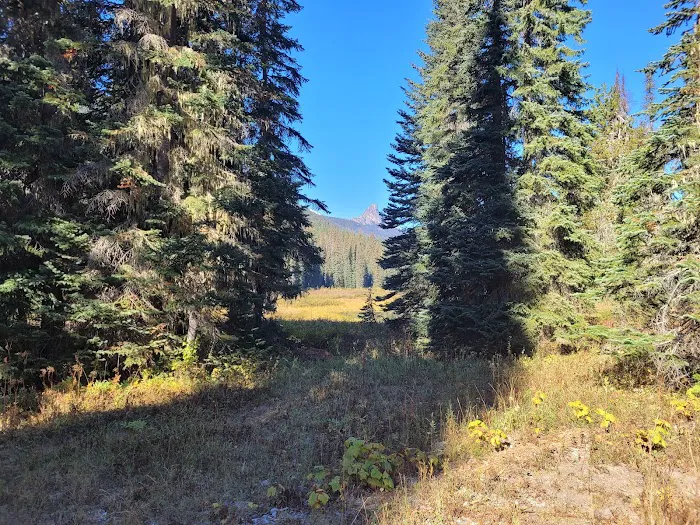 Scatter Creek Campground 8