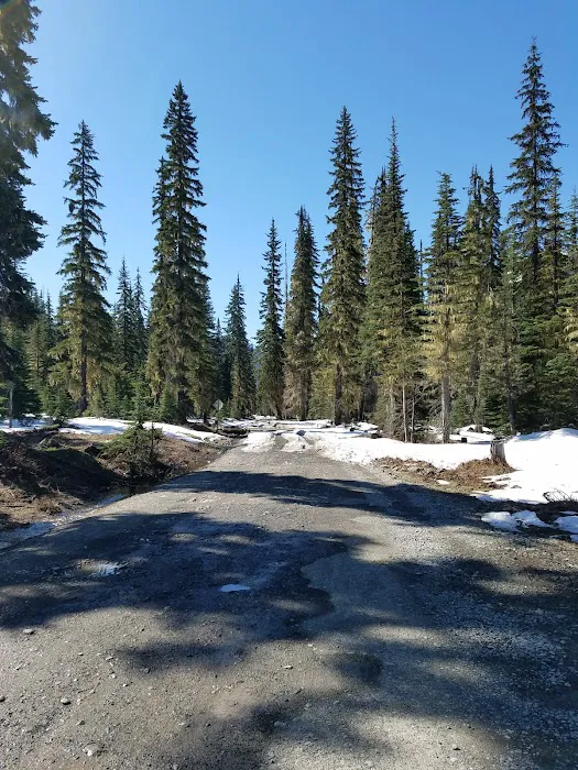 Scatter Creek Campground 7