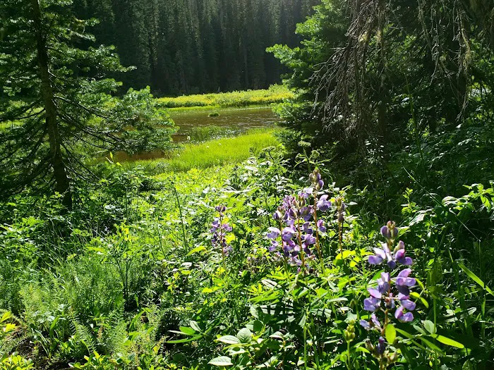 Fish Lake Campground 7