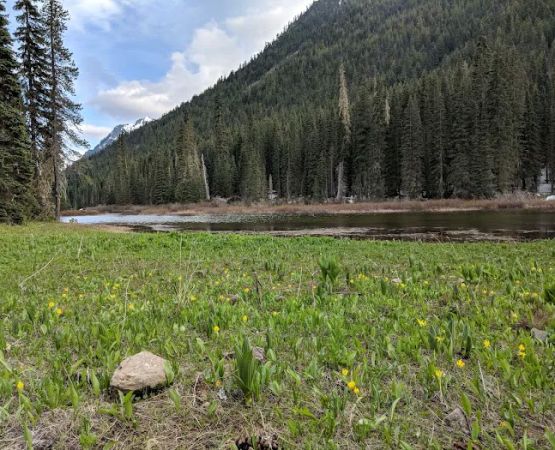 Fish Lake Campground