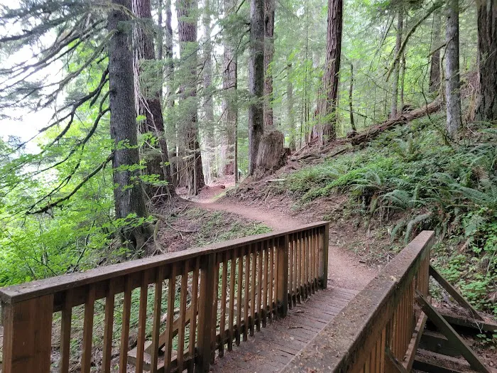 Merrill Lake Campground 4