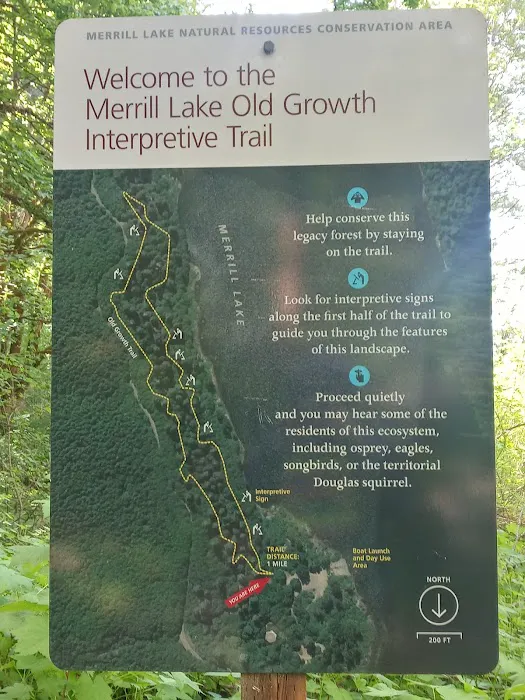 Merrill Lake Campground 6