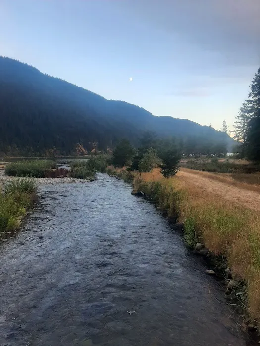 Cougar Park & Campground 7