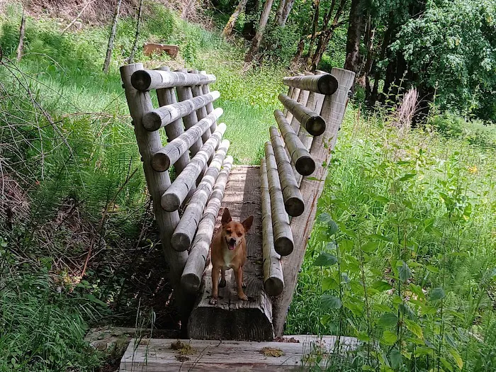 Cougar Park & Campground 4