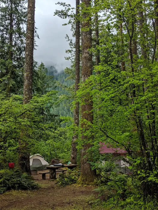 Cougar Park & Campground 0