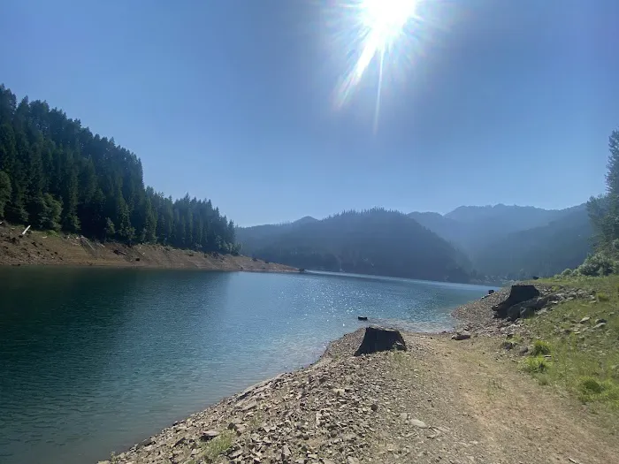 Cougar Park & Campground 2