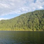 Cougar RV Park & Campground