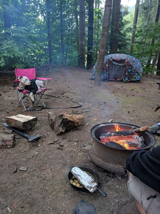 Cougar RV Park & Campground 9
