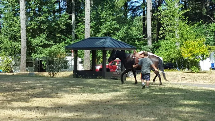 Hares Canyon Horse Camp 2