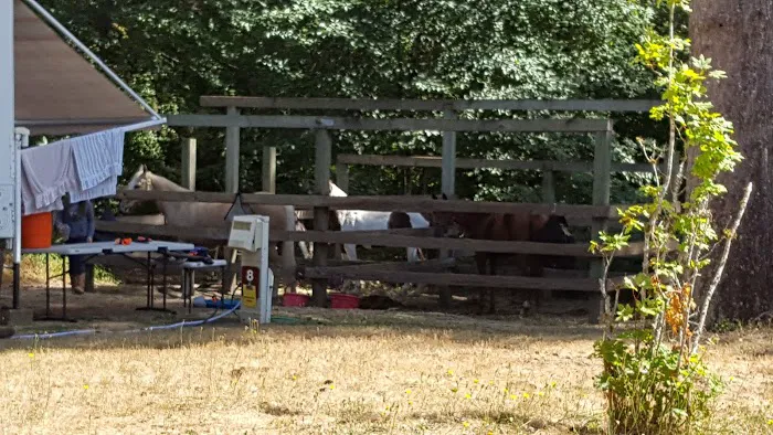 Hares Canyon Horse Camp 7
