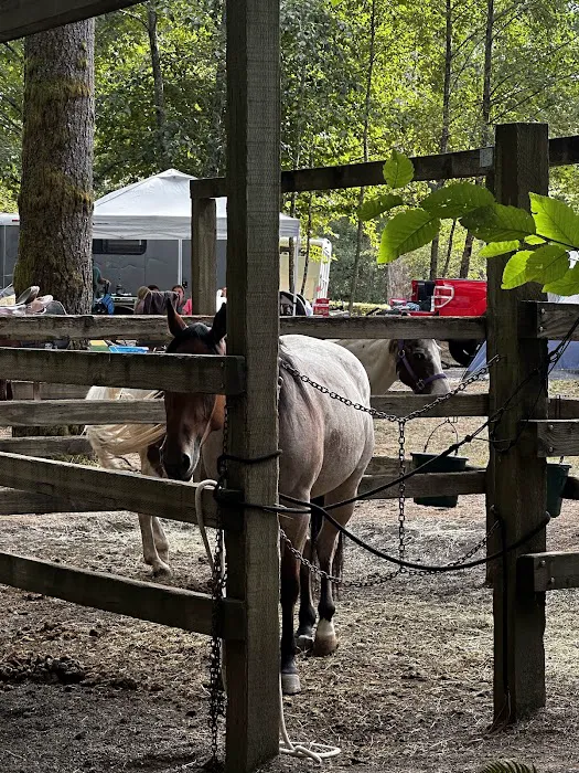 Hares Canyon Horse Camp 9