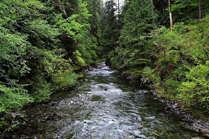 Clear Creek Campground 6