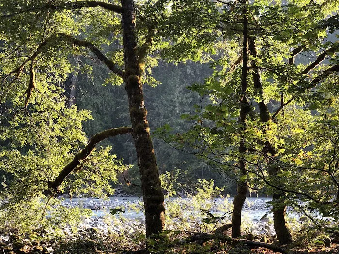 Clear Creek Campground 3
